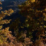 Cipieres in Autumn, viewed from the footpath to Greolieres